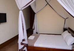 Hotel_Acacia_5